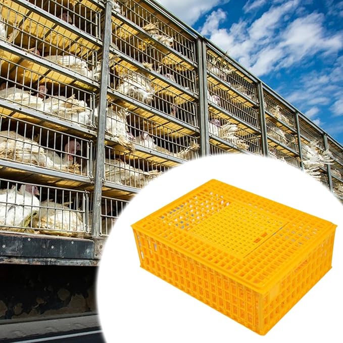 Poultry Crate for Transporting Birds, and Hamsters, Yellow