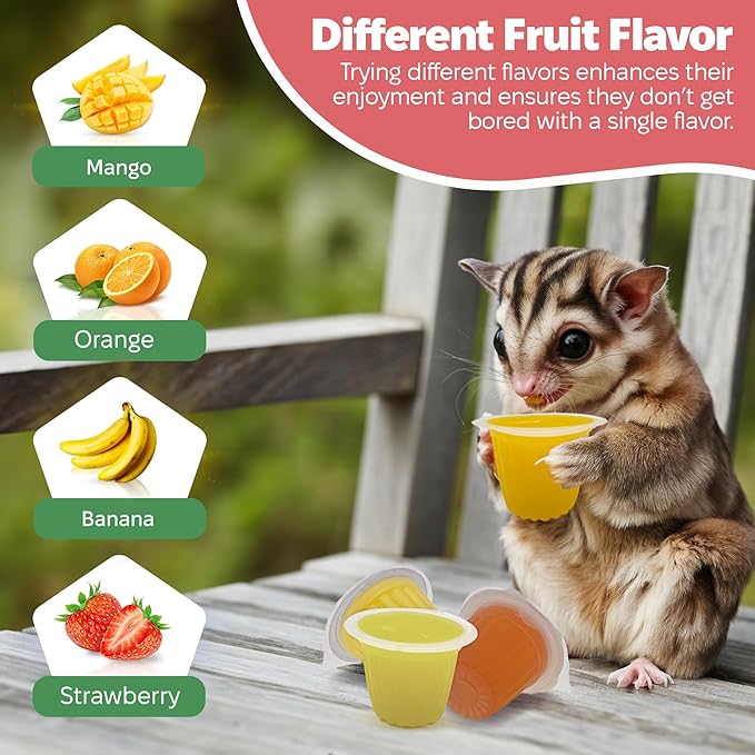 Snout and Shell Pet Jelly Pods Variety Pack - Nutritious Jelly Fruit Nectar Treats for Geckos, Sugar Gliders, Birds, Small Pets - Real Fruit Juice - 40 Cups