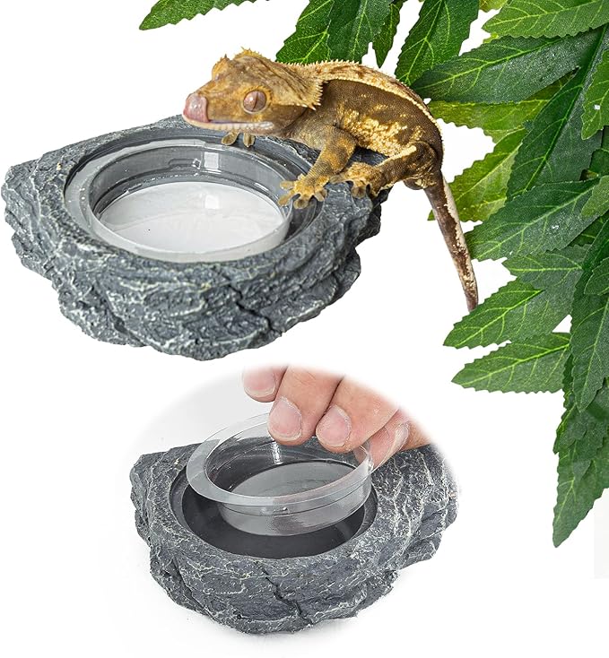 REPTIZOO 30PCS Feeding Cups for Reptile Magnetic Feeder Ledge, Replacement Cups for REPTIZOO Food Water Feeder Dish Gecko Feeding Ledge