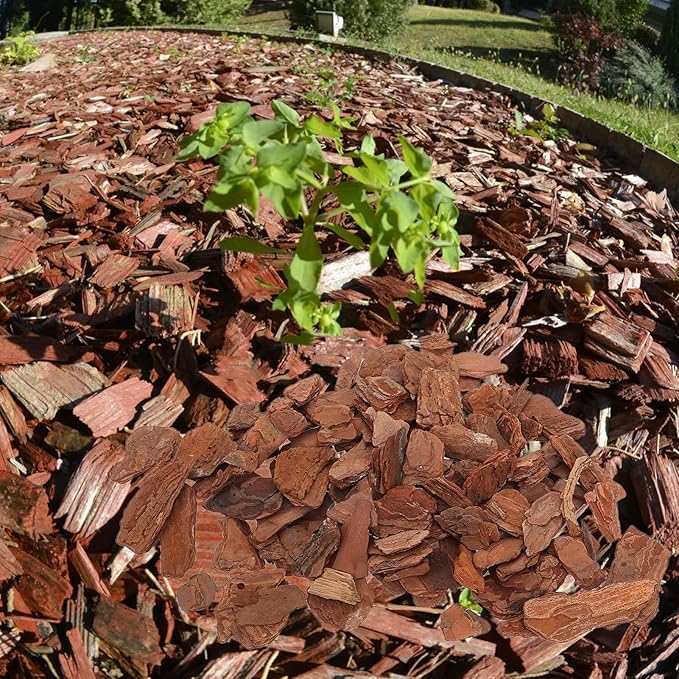 1bag Tree Bark Chips for Reptiles Natural Habitat Decor for Terrariums Substrate Living Environment for Turtles Snakes Lizards