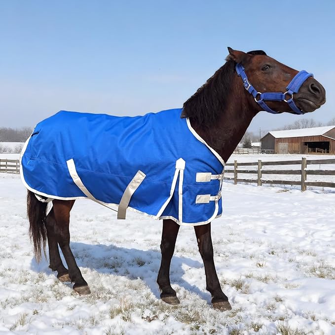 Miniature Horse Pony Horse Blanket, 1200D Winter Turnout Blanket for Pony Breeds/Small Pony/Tiny Horse/Small Breed Horse/Foal,Donkey Blanket with 220g Polyester Filling Liner (47inch, Blue)