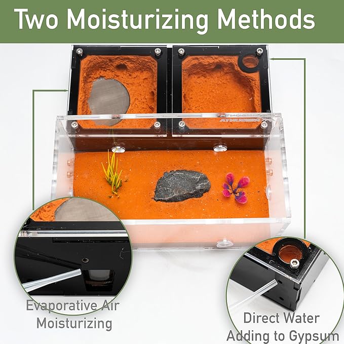Terra Core Expandable Dual Chamber Formicarium Ant Nest with Starter Kit