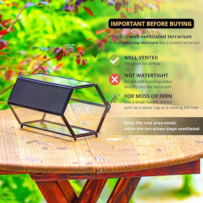 NCYP Small Glass Enclosure Terrarium with Mesh & Door for Tiny Beetle - Hexagon Jumping Spiders Vented Glass Terrarium 7.87'' x 4.52'' x 3.93'', Black (Plants Not Include)