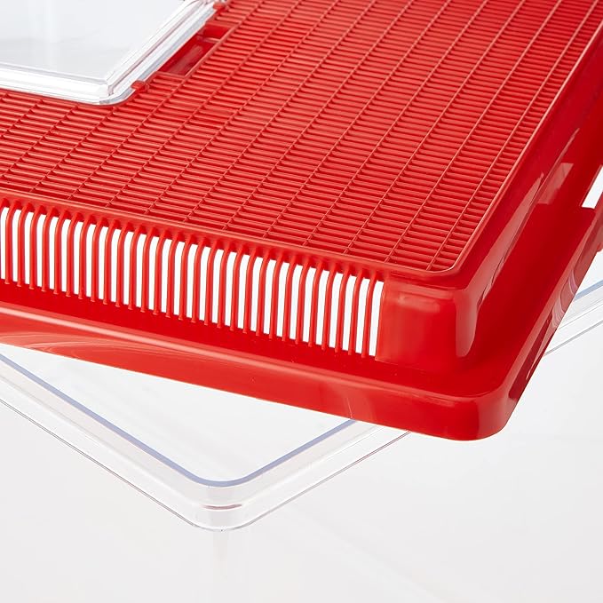 Ferplast Plastic Container for Small Animals GEO Extra Large Aquarium Tank 11 L for Fishes Terrarium Turtles Insects, Sturdy Plastic, Ventilation Grills, 35,6 x 23,4 x h 22,8 cm Red