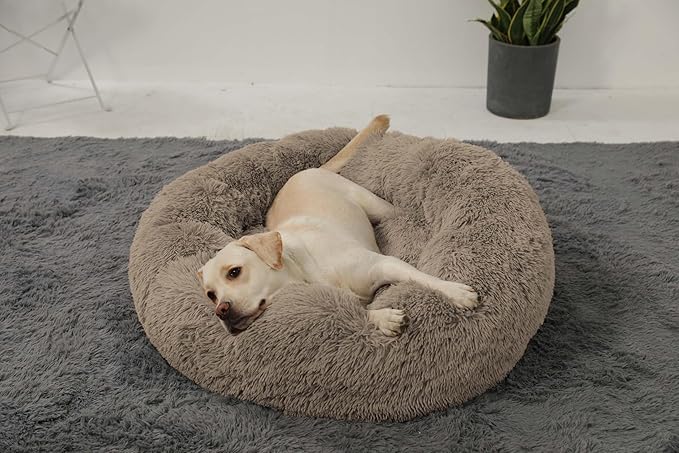 HACHIKITTY Calming Donut Cuddler Dog Bed, Round Fluffy Pet Bed with Sewn-in Cushionfor Large Dogs,Washable, Large, Taupe, 30''