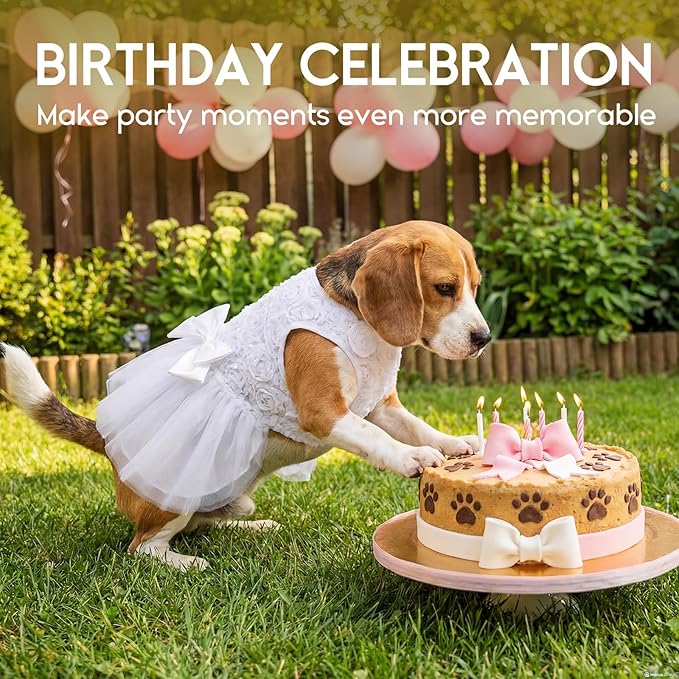 ASENKU Dog Dress Pet Wedding Dress Princess Lace Puppy Birthday Party Outfit Formal Apparel Girl for Small Medium Dogs Cats (Small, White)
