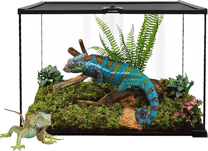 Gallon Full Glass Reptile Tank, Medium Terrarium for Gecko, Hermit Crab, Hognose Snake & More, with Top Screen Ventilation & Easy Feeding
