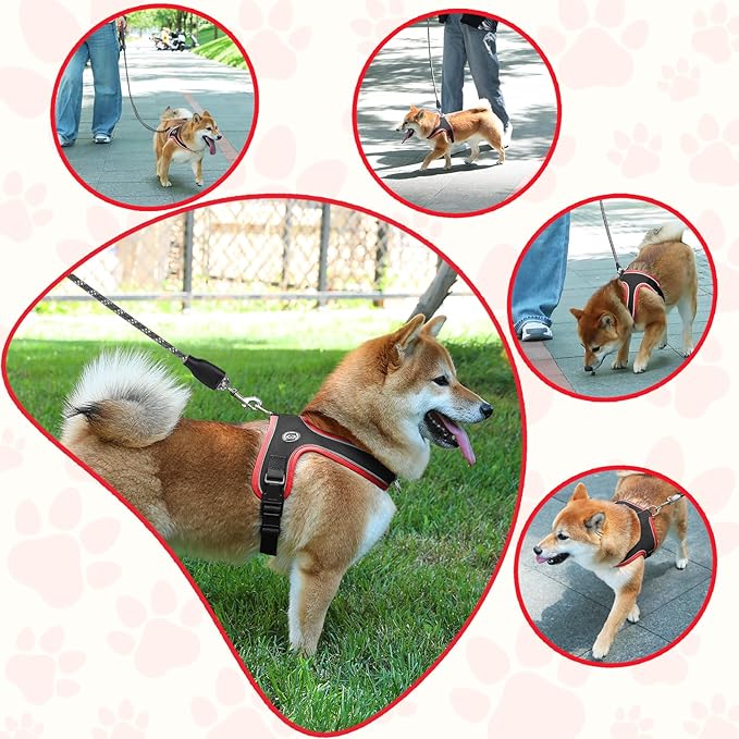 Dog Harness and Leash Set, No Pull Saddle Style Pet Harness, Breathable Mesh Adjustable Reflective Dog Vest for Dogs and Cat Medium Small Harness 2 D-Rings (Black, L)