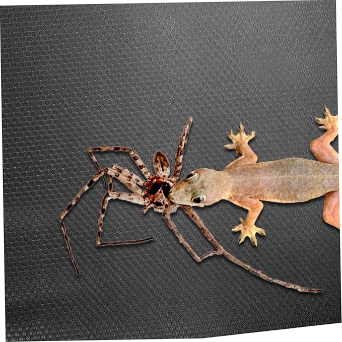 Toyvian Reptile Carpet for Leopard Gecko Lizard Snake and Turtle Sturdy Terrarium Substrate Bedding Non-Toxic Easy to Clean 2ft x