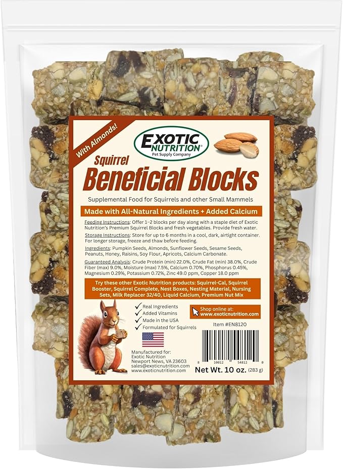 Exotic Nutrition Squirrel Beneficial Blocks - Healthy & Unique Supplemental Food with Nuts & Seeds, 10 oz