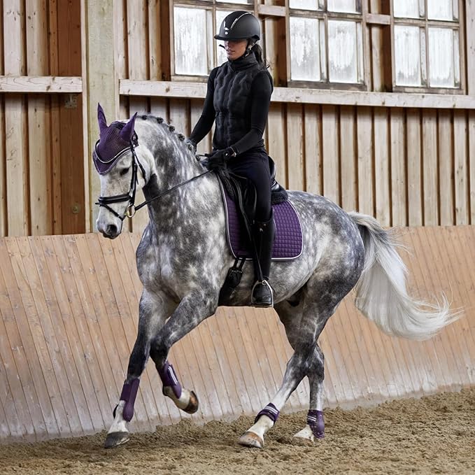 HORZE Adepto Open Front Tendon Boots | Durable Shell with Neoprene Lining - Blackcurrant Purple - Pony