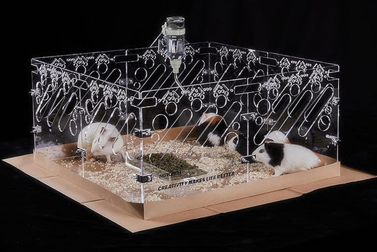 Acrylic Guinea Pig Cages - 2x2ft Small Animal Cage | DIY Extendable | Easy-to-Clean Disposable Bottom (Without Lid)