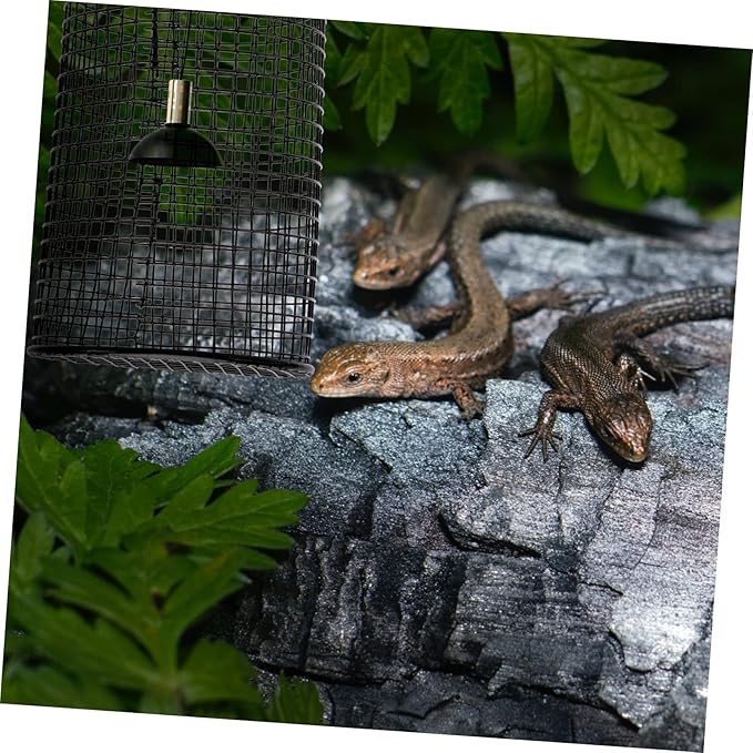 Holibanna Reptile Lamp Cover Ceramic Heating Shade Practical Anti-Scald Design for Climbing Pets Suitable for Lizards and Snakes