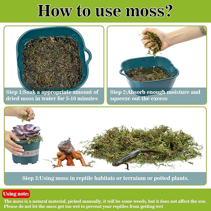RAINFLOW Sphagnum Moss for Reptiles - 7 Oz Reptile Moss Peat Terrarium Moss Bedding Reptiles Lizard Substrate for Reptile Tank, Snake, Leopard Gecko, Ball Python, Crested Gecko, Turtle, Frog, Hamster