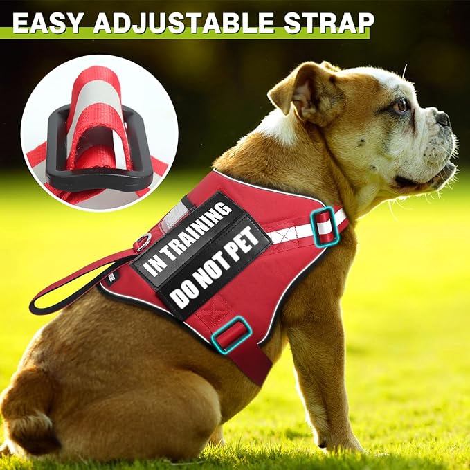 Service Dog Harness and Leash Set, Training Dog Vest with 10 Dog Patches, Emotional Support Therapy Dog Vest Harness for Small Medium Large and Extra Large Dogs(Red, XL)