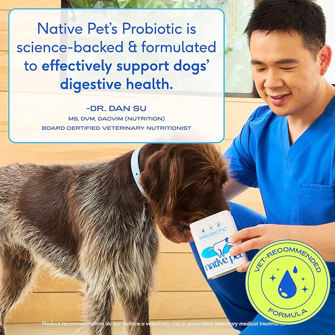 Native Pet Probiotics for Dogs – Dog Probiotic Powder for Gut & Digestive Health, Vet-Formulated 6B CFUs Dog-Specific Probiotic Strains, Supports Stool Quality & Diet Transitions – 60 Scoops