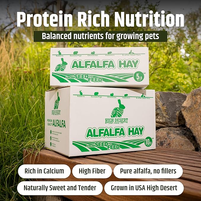 High Desert Alfalfa Hay, Protein Rich Soft Leaf Food for Young Growing Animals, Natural Rabbit Food and Guinea Pig Hay, Supports Digestive Health, Small Pet Supplies, Fresh Hand Packed 10 Lb Box