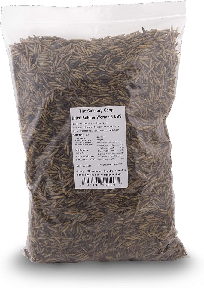 Fluker's Culinary Coop Premium Chicken Treats, Dried Soldier Worms, Packed with Protein and Calcium, 100% Natural Rich Grubs for Chicken, Backyard Birds, and Reptiles, 5lbs.