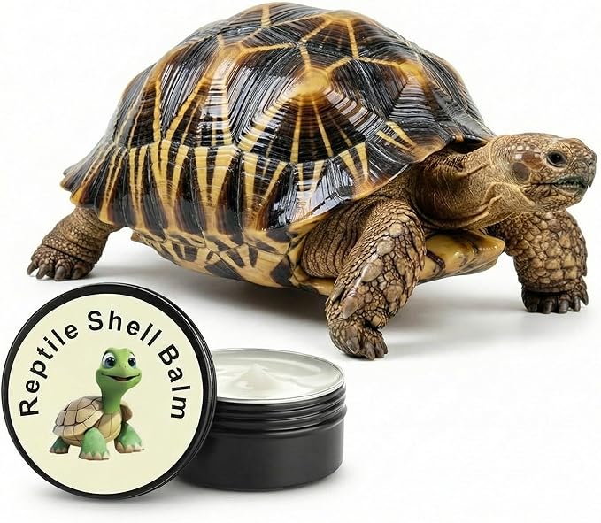 Tortoise Oinment Shell Conditioner Cream ?€? Shell Care Balm Moisturizer for Box Turtles, Sulcata, Russian, Desert Tortoise Dry, Cracked or Dull Protector