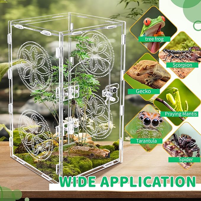 Large Jumping Spider Enclosure, 12x6x6 Inch Acrylic Tarantula Enclosure, Jumping Spider Accessories with Front Opening Door