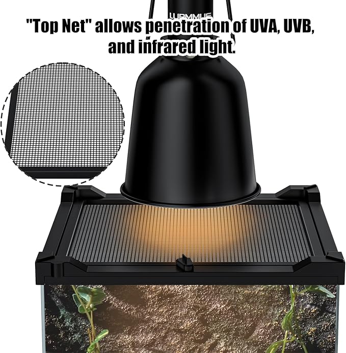 Reptile Terrarium 8"x8"x12" Mini, Front-Opening Glass Tank with Mesh Lid & Lock, 360° Glass Enclosure for Small Reptiles, Frogs, Tarantulas, Jumping Spiders & Geckos