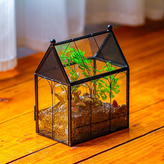 NCYP Small Glass Terrarium Enclosure with Mesh for Jumping Spiders, Micro House Shaped Small Spiders Vented Glass Terrarium, Home Decor Black, 5.8" x 3.8" x 7" (No Plants)