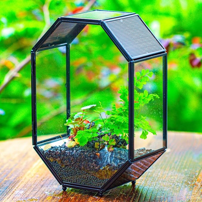 NCYP Glass Enclosure Terrarium with Mesh and Door for Spiders, Small Mantis, Jumping Spider - Octagon Shape Vented Glass Terrarium 6.2 x 3.1 x 8.7 inches, Black (Plants Not Include)