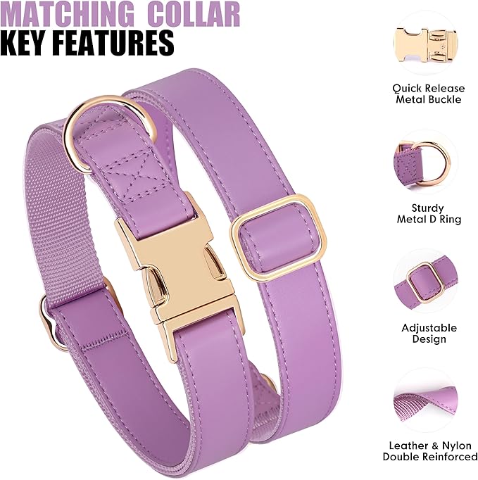 PET ARTIST Soft PU Leather Dog Collar and Leash Set, Bright & Stylish 5FT PU Leather Leash and Collar Set, Durable Pet Collars with Quick Release Metal Buckle for Large Dogs,Purple,L(16-27")