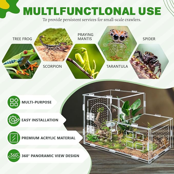 Acrylic Jumping Spider Enclosure, Clear Ventilated Spider Terrarium with Snap-on Front Door, 9.8×5.5×6.8in Reptile Habitat for Snails, Mantises, Small Tarantulas and Small Tree Frogs