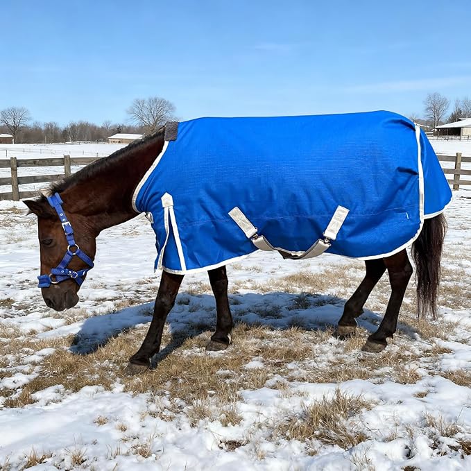 Miniature Horse Pony Horse Blanket, 1200D Winter Turnout Blanket for Pony Breeds/Tiny Horse/Small Breed Horse/Foal,Donkey Blanket Medium Weight with 220g Polyester Liner(51inch, Blue)