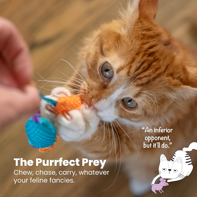 Catstages Catnip Chew Mice 2 Pack?€? Interactive Dental Cat Chew Toy that Helps Clean Teeth, Mouse, Multicolored - Image 6