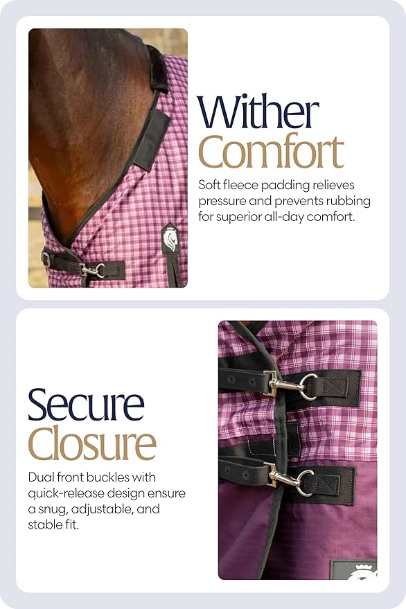 Equinavia Norse 200g Medium Weight Horse Blanket | Waterproof Winter Turnout - Black - 66 in - Plum Wine/Orchid Haze - 81 in