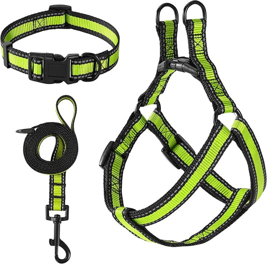 Mile High Life Night Reflective Double Adjustable Band Nylon Small Puppy Pet Dog Combo Collar Leash and Harness Set (Reflective Edge Lime Green, Small (Pack of 3))