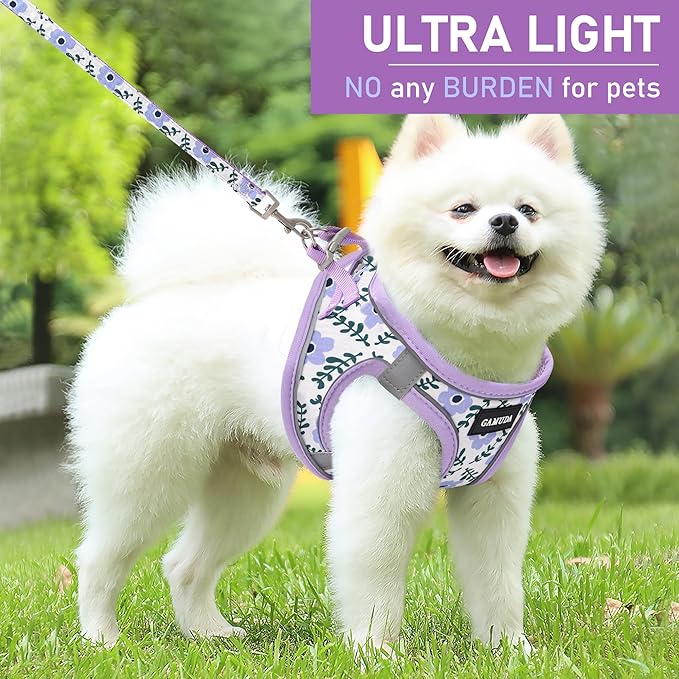 GAMUDA Small Dog Harness Collar and Leash Set, Step in No Chock No Pull Soft Mesh Adjustable Dog Vest Harnesses Plaid Reflective for Dogs Puppy Cats Kitten Rabbit (Purple Flower, XXXS)