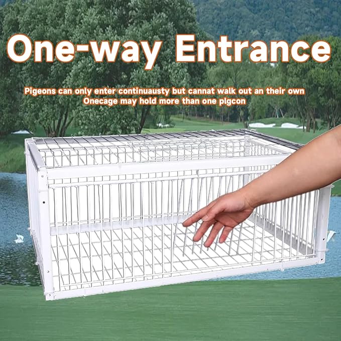 Carrier Pigeon Cage Pigeon Bird Trap Cage One-Way Entrance Trapping U-Trap Door for Quail Doves(White,100 * 60cm)