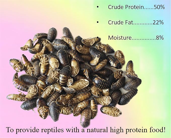 Classic Flock 2oz Freeze-Dried Dubia - High Protein Reptile & Amphibian Food