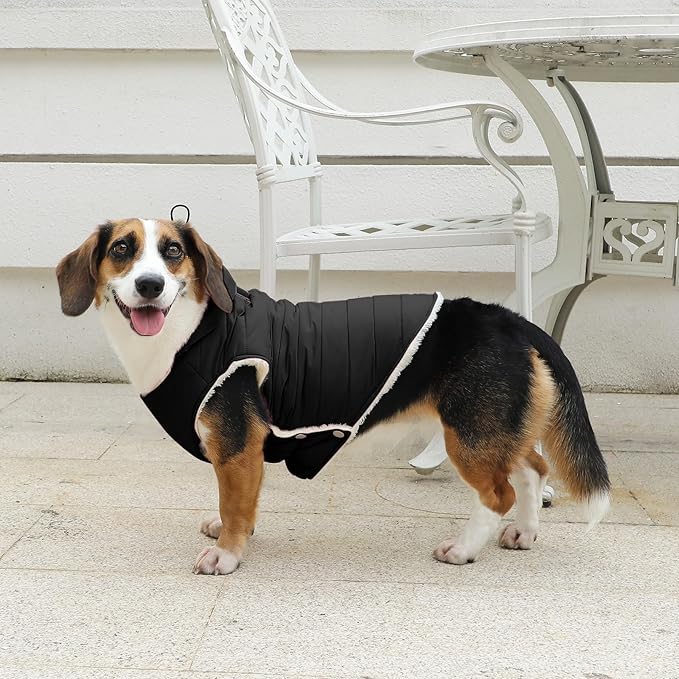 Vecomfy Fleece Lining Dog Hoodie with Harness Built in,Extra Warm Small Dog Jacket in Winter Puppy Coats with Drawstring Hooded,Black S