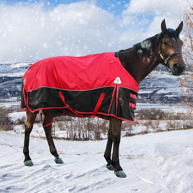 Surcingle Red Turnout Blankets for Horse,1680D Winter Waterproof Horse Blanket, 300g / 14oz Warm Filling Liner, Medium Weight Waterproof Horse Blanket,Warm US 72 in(EU 135 cm)