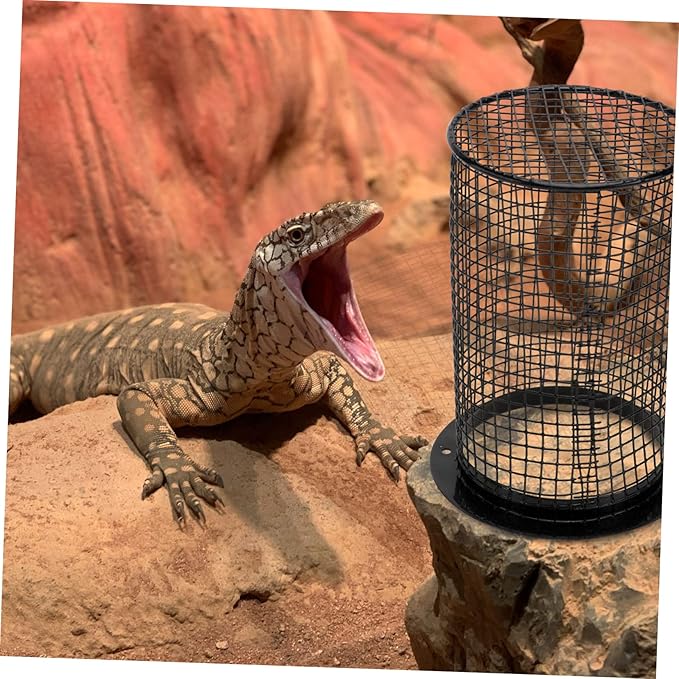 DOITOOL 1pc Heating Lamp Shade for Reptiles Anti-scalding Cover Efficient Heat Dissipation Durable Habitat Decor for Terrarium Lighting