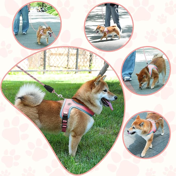 Dog Harness and Leash Set, No Pull Saddle Style Pet Harness, Breathable Mesh Adjustable Reflective Dog Vest for Dogs and Cat Medium Small Harness 2 D-Rings (Pink, M)