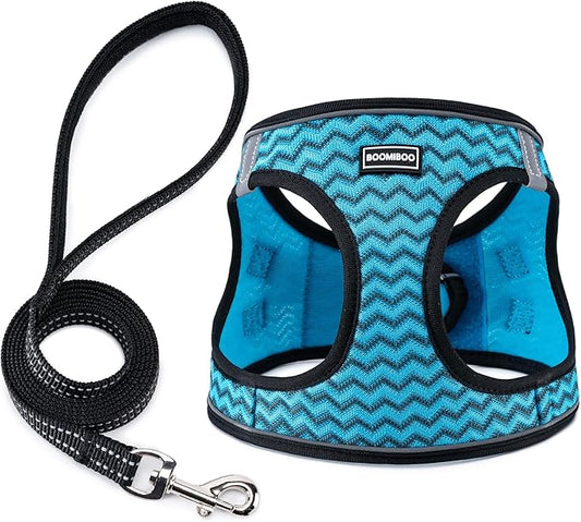 BOOMIBOO Dog Harness with Leash Set, No Pull Adjustable Reflective Step-in Puppy Pet Vest Harnesses for Small Medium Large Dogs and Cats,Blue Stripe XS