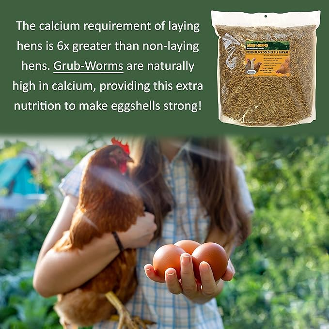 EZ-Worms (10 lb) - Blend of Dried Mealworms & Black Soldier Fly Larvae (BSFL) - Healthy Insect Treat - Chickens, Bluebirds, Sugar Gliders, Hedgehogs, Squirrels, Skunks, Reptiles, Turtles, Fish