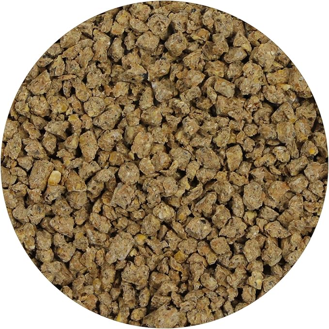 Exotic Nutrition Mealworm Chow 1 lb. - Highly Nutritional Healthy Feed for Breeding Live Feeder Mealworms (1 lb)