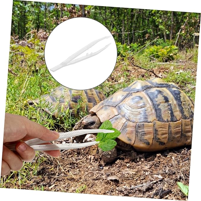 BESPORTBLE 2pcs Lizard Feeding Tweezers Reptile Feeding Tool for Lizards Turtles Frogs Lightweight and Easy to Grip Night Glow Tweezers for Pet Care