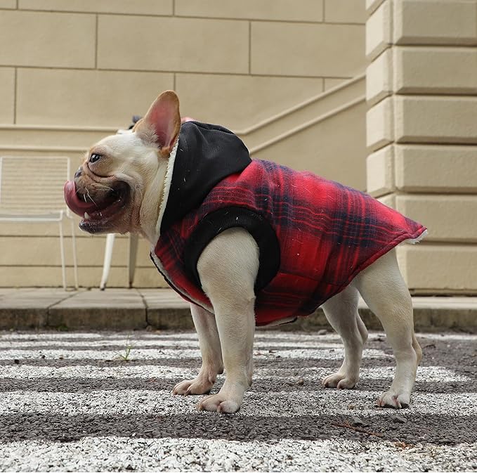 Vecomfy Fleece Lining Dog Hoodie for Small Dogs Extra Warm Plaid Sweater with Drawstring Hooded Coats in Winter Puppy Jacket,Red M