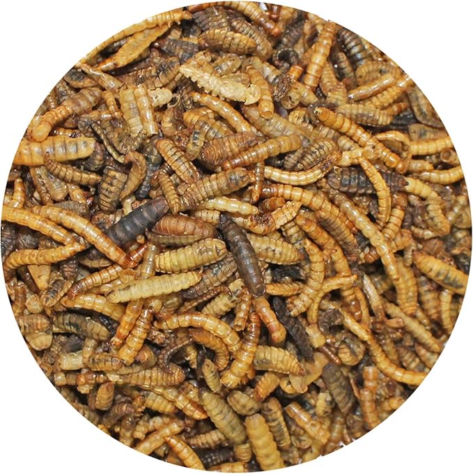 EZ-Worms (10 lb) - Blend of Dried Mealworms & Black Soldier Fly Larvae (BSFL) - Healthy Insect Treat - Chickens, Bluebirds, Sugar Gliders, Hedgehogs, Squirrels, Skunks, Reptiles, Turtles, Fish