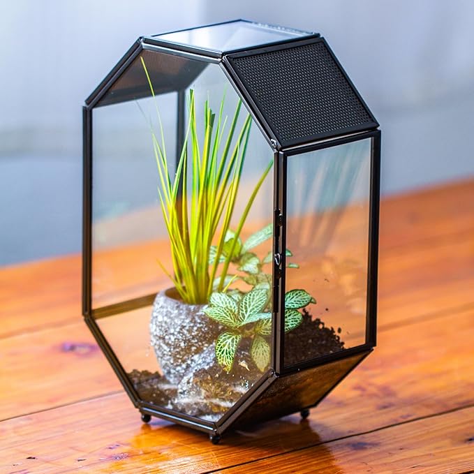 NCYP Glass Enclosure Terrarium with Mesh and Door for Spiders, Small Mantis, Jumping Spider - Octagon Shape Vented Glass Terrarium 6.2 x 3.1 x 8.7 inches, Black (Plants Not Include)