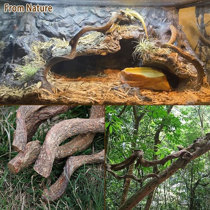 Reptile Decor 4PCS Natural Forest Branch Terrarium Habitat Driftwood Decoration Lizard Climbing Tree Branch for Bearded Dragon Gecko Snake Frog Chameleon Spider
