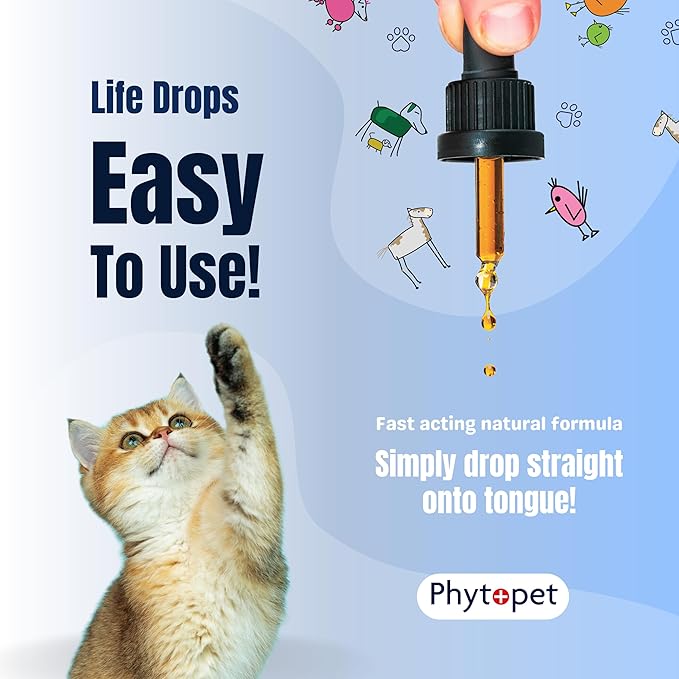 PhytoPet Life Drops | Natural Herbal Stimulant for Newborn & Elderly Pets | Ideal for Puppies, Kittens, Birds, Foals | 10ml
