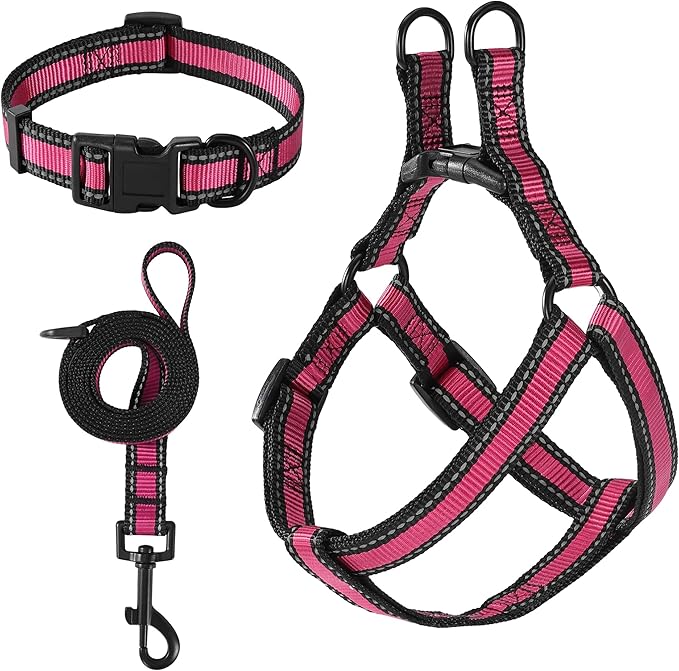 Mile High Life Night Reflective Double Adjustable Band Nylon Small Puppy Pet Dog Combo Collar Leash and Harness Set (Reflective Edge Pink, Mediun (Pack of 3))